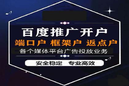百度SEO推广公司案例分享：行业佼佼者经验